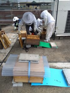 ２０２５年５月２日（金）ＧＷ前の内見