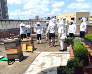 4月に続いて養蜂視察にいらっしゃいました。