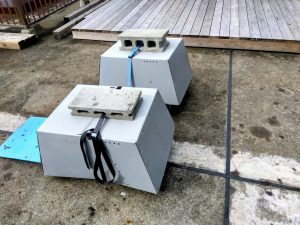 １１月度定期内検