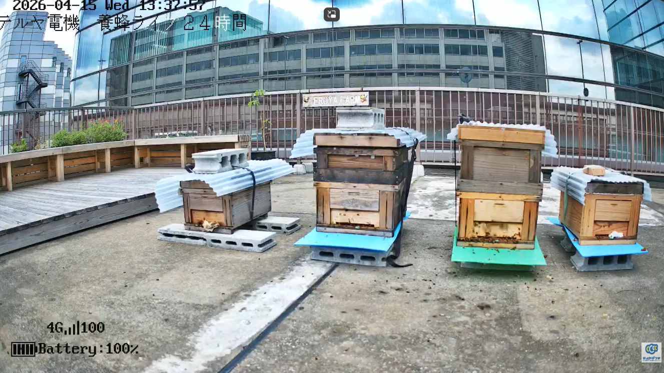 スクリーンショット 2026-04-15 133827