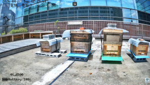 ４月２８日（水）定期内検